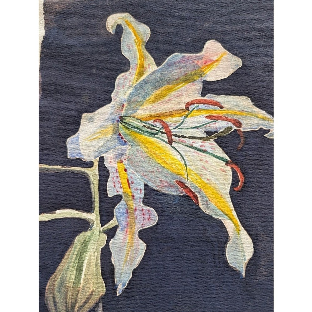 Vtg Still Life Watercolor 10x16 Flower Lilie Signed Teri Banas Minimalist Moody